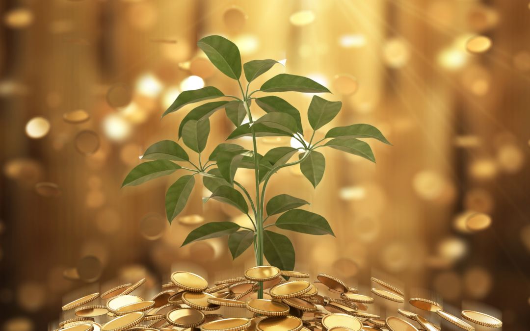 Warum in Aktien investieren? Ein Anfängerleitfaden